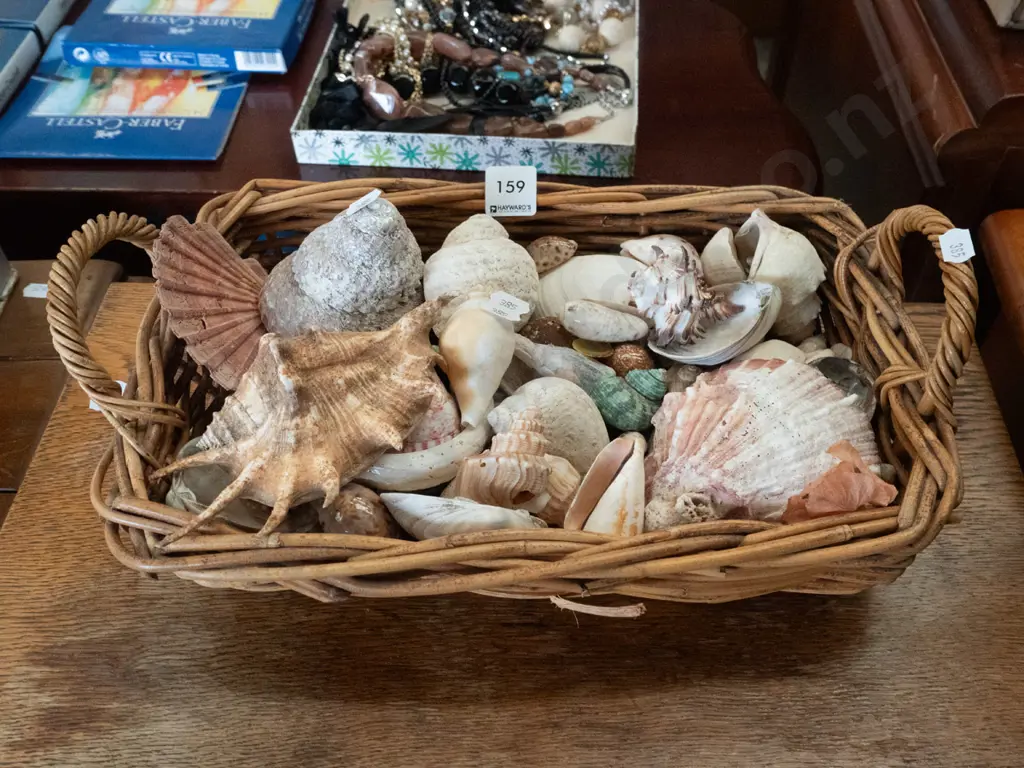 cane basket of shells Image 1++
