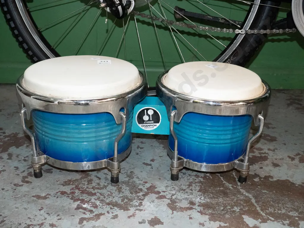 bongo Image 1++