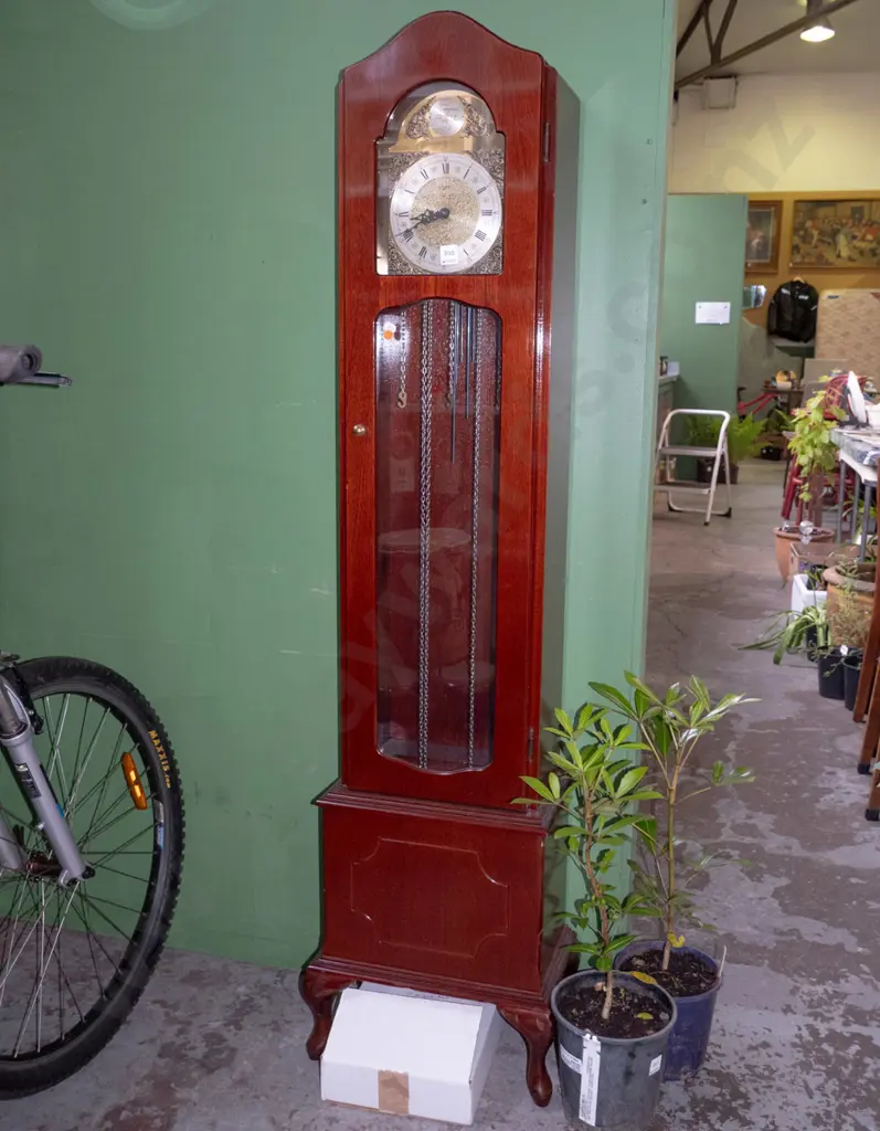 Tempest Fugit long cased pendulum clock - needs attention H-1570  Image 1++