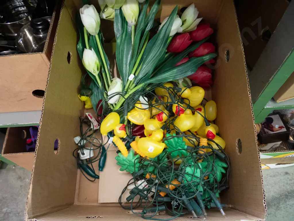 box; party lights, illuminated plastic ducks, flowers Image 1++