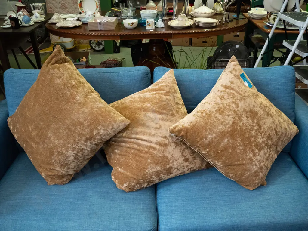 3x large cushions Image 1++