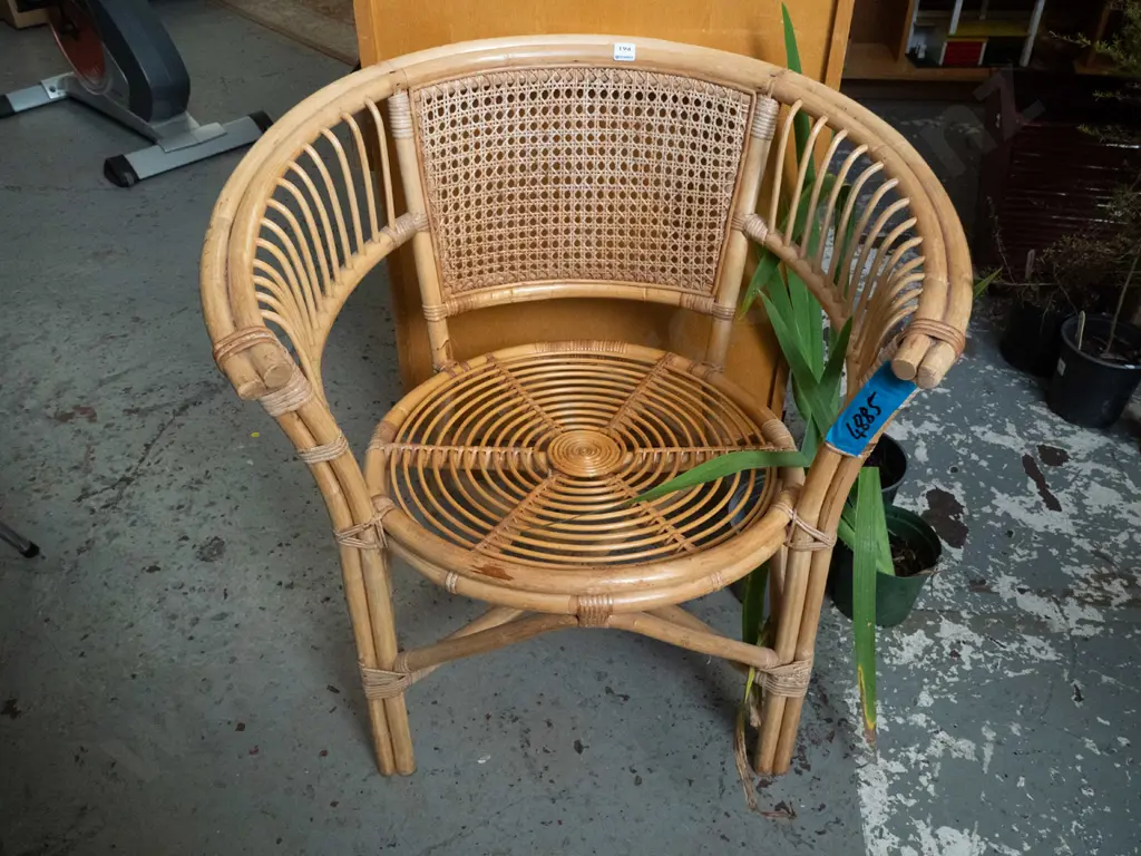 cane tub chair Image 1++