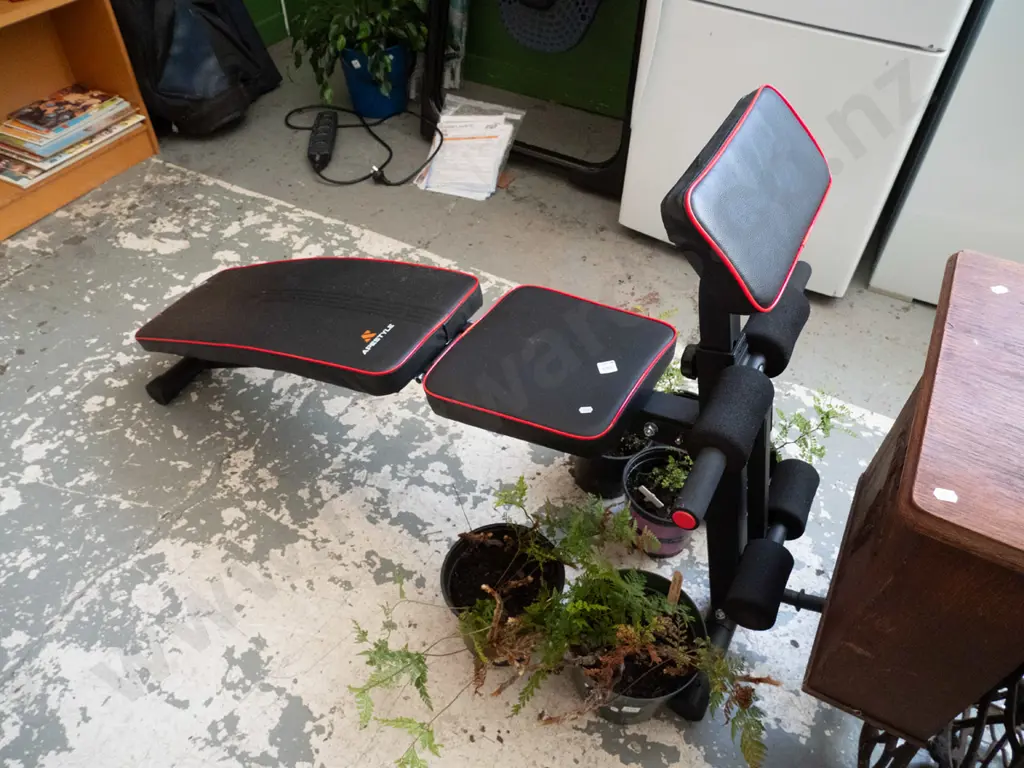 Ape style exercise bench Image 1++
