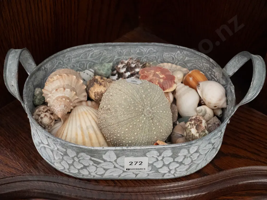 small metal tray & sea shells Image 1++