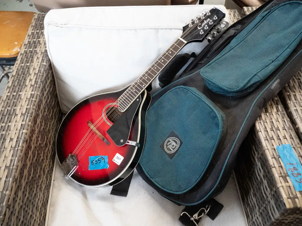 Carlos mandolin & soft carry case Image 1++