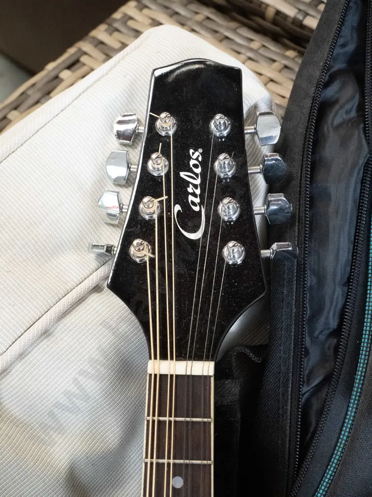 Carlos mandolin & soft carry case Image 1++