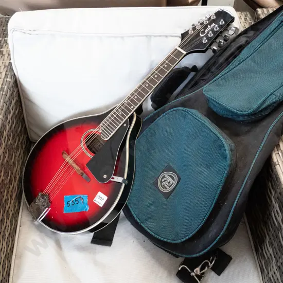 Carlos mandolin & soft carry case