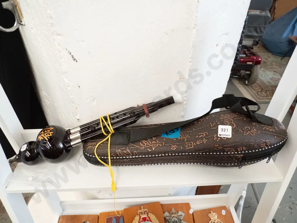plastic Chinese hulusi wind instrument with case Image 1++