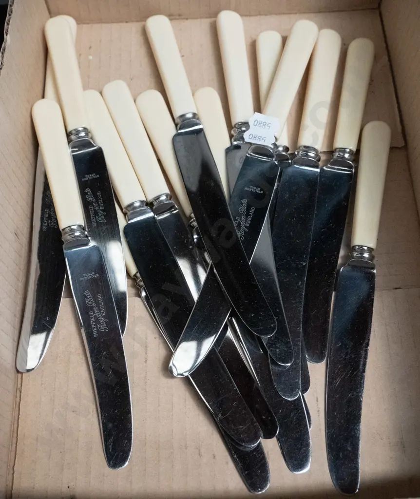box of bone handled knives Image 1++