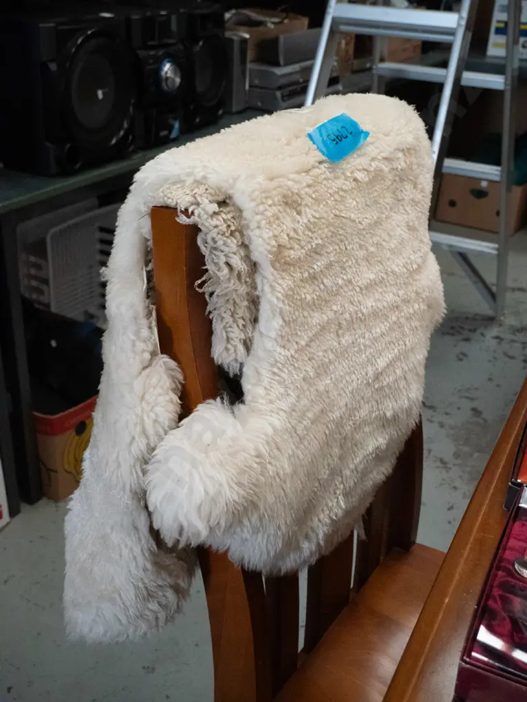 sheepskin Image 1++