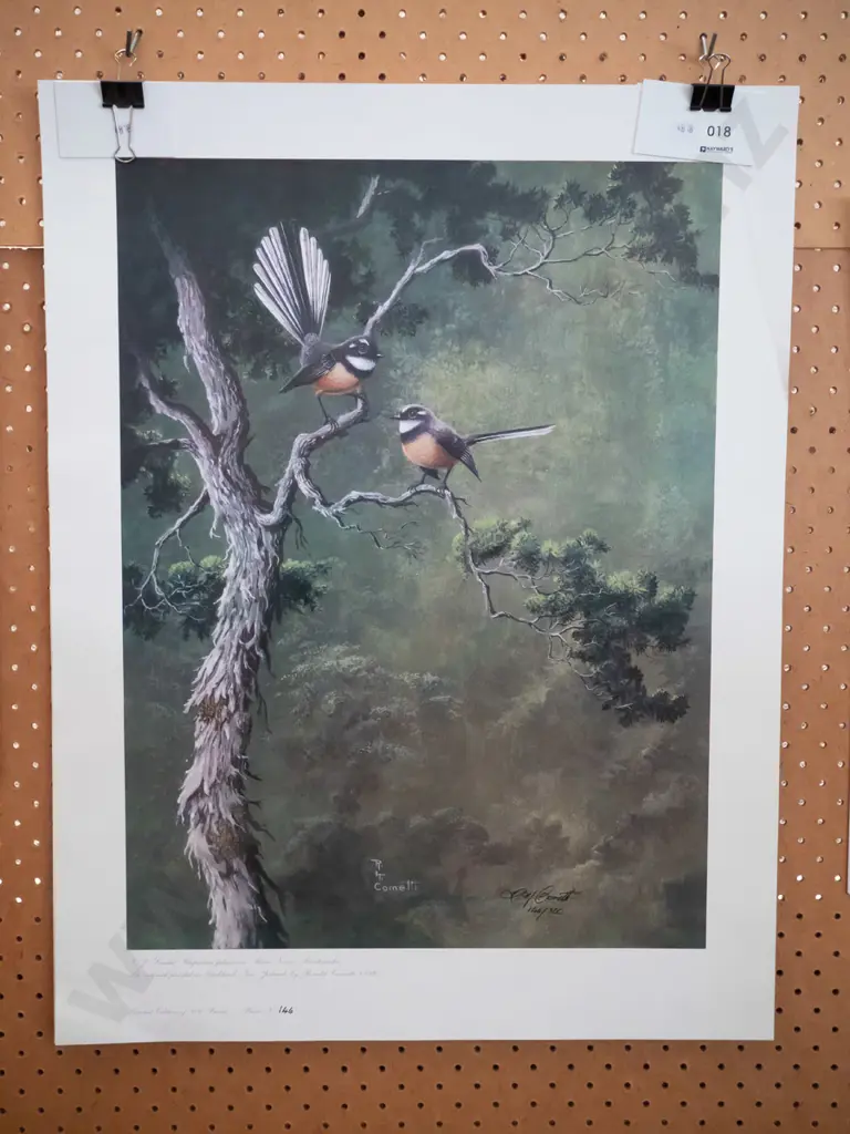 R H Cometti unframed ltd edition  bird prints Image 1++