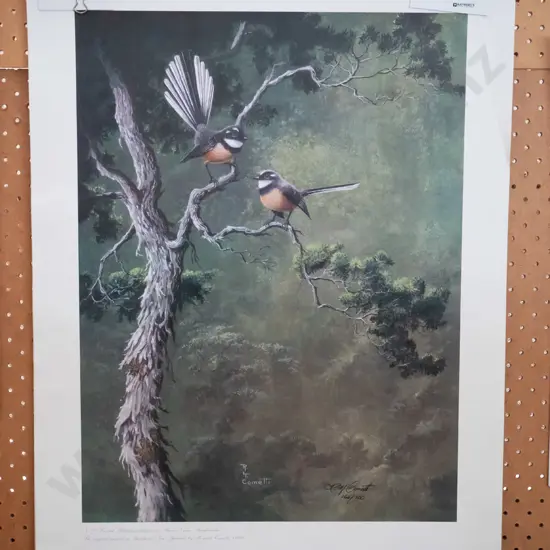 R H Cometti unframed ltd edition  bird prints