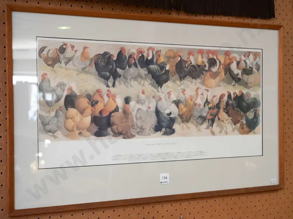 framed print - barn yard poultry Image 1++