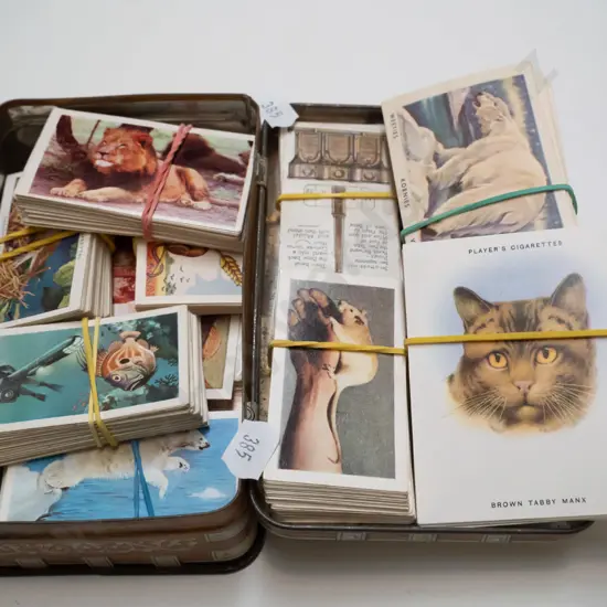 tin of collector cards