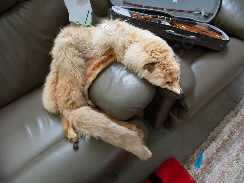 fox fur stole Image 1++