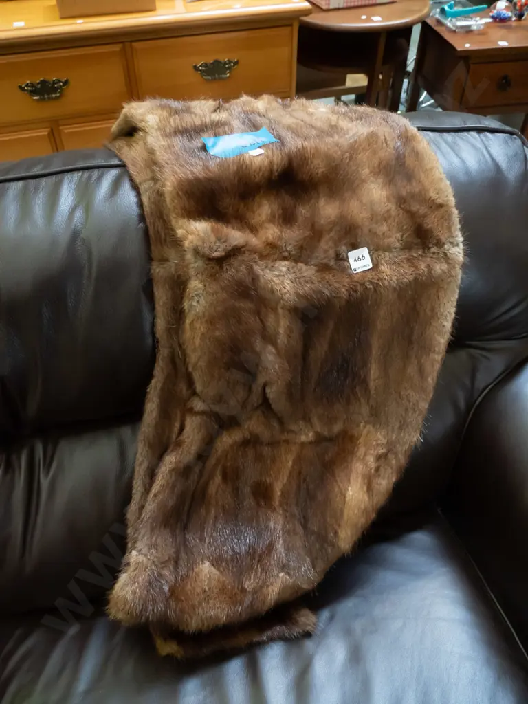 fur stole Image 1++