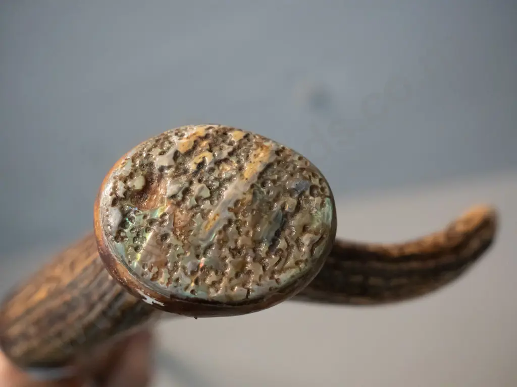 lancewood walking stick with deer antler handle with paua shell inset and copper ferrule on tip L-1150 Image 1++