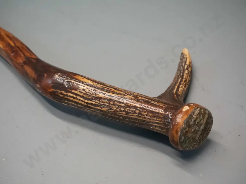 lancewood walking stick with deer antler handle with paua shell inset and copper ferrule on tip L-1150 Image 1++