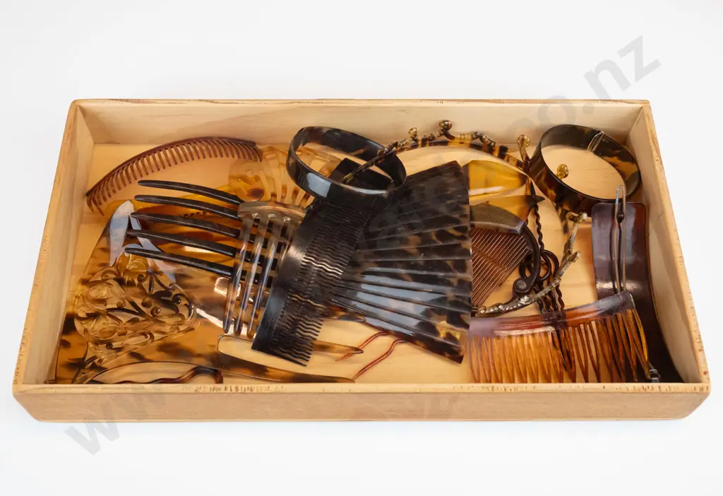 various tortoiseshell hair clips, combs & 1 bangle Image 1++