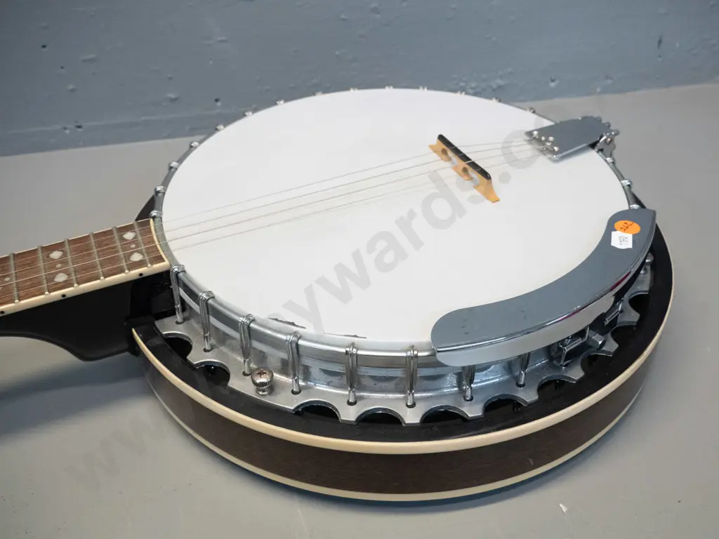 Epiphone banjo - date and model unknown - a few retouched varnish chips to headstock L-970 Body D-340 Image 1++