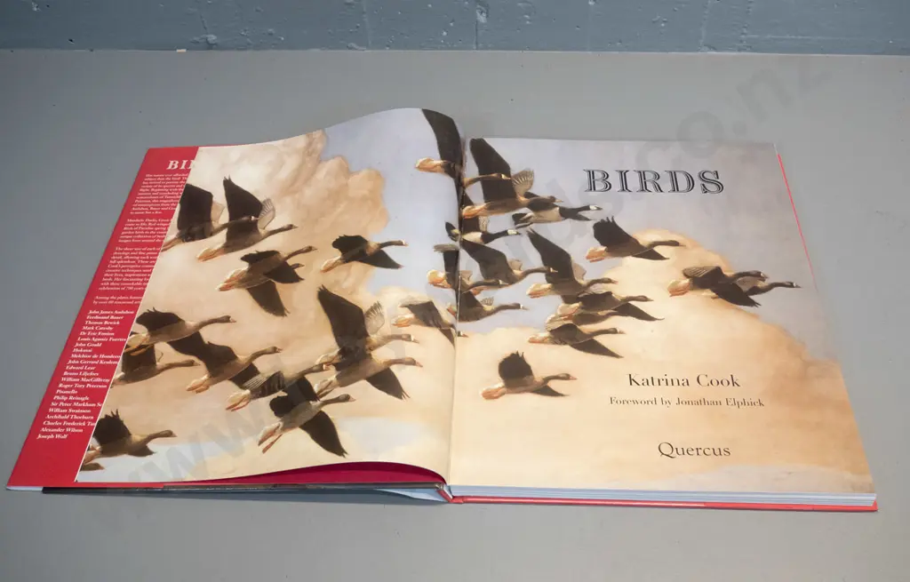 large book - Birds by Katrina Cook - pub. Quercus Press - some wear to dust jacket Image 1++
