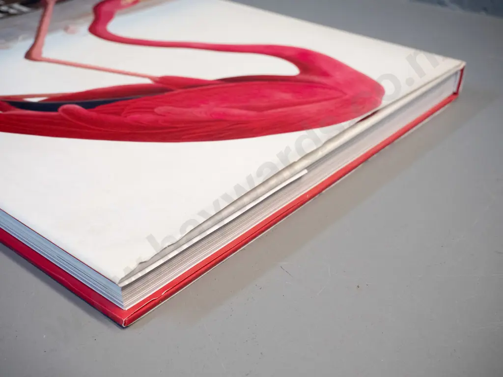 large book - Birds by Katrina Cook - pub. Quercus Press - some wear to dust jacket Image 1++