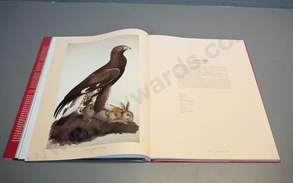 large book - Birds by Katrina Cook - pub. Quercus Press - some wear to dust jacket Image 1++