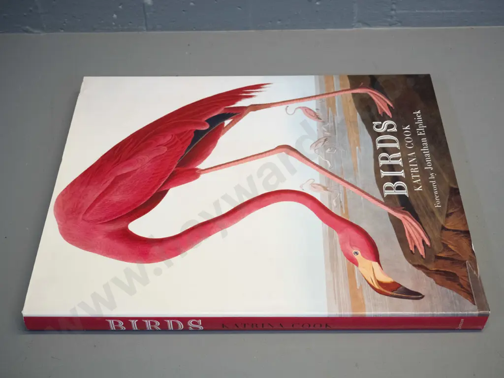 large book - Birds by Katrina Cook - pub. Quercus Press - some wear to dust jacket Image 1++