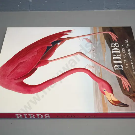 large book - Birds by Katrina Cook - pub. Quercus Press - some wear to dust jacket