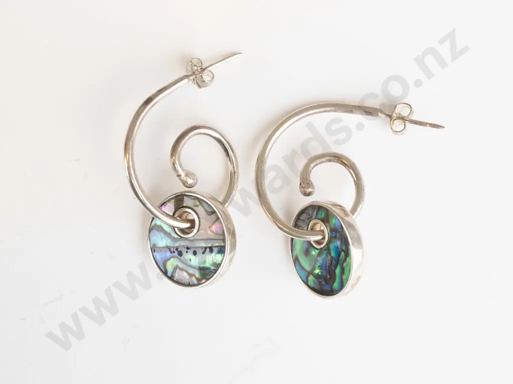 silver paua shell earrings stamped silver Image 1++
