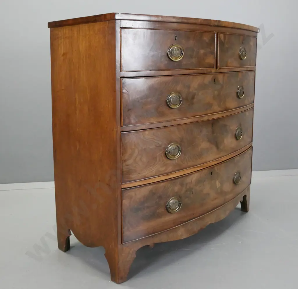 regency mahogany 5-drawer bow-front chest, w/shaped base on bracket feet, oval brass drawer plates, some fading to Image 1++