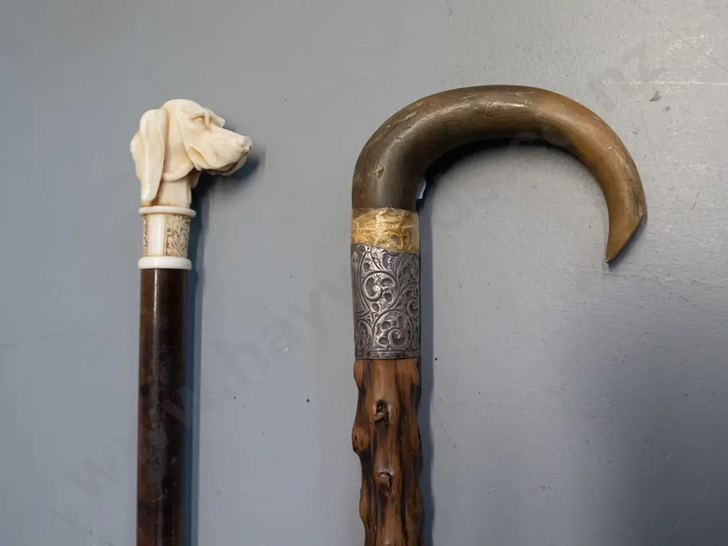 2 walking sticks - one with bone handle & sterling silver band, held on with tape L900 and one with faux bone composite Image 1++