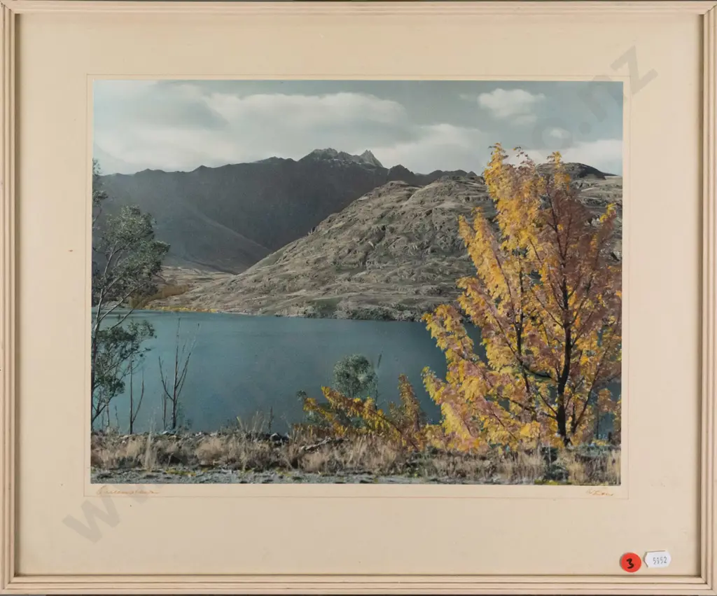 framed Whites Aviation hand coloured photograph - Queenstown H-290 W-360 (foxing to mat) Image 1++
