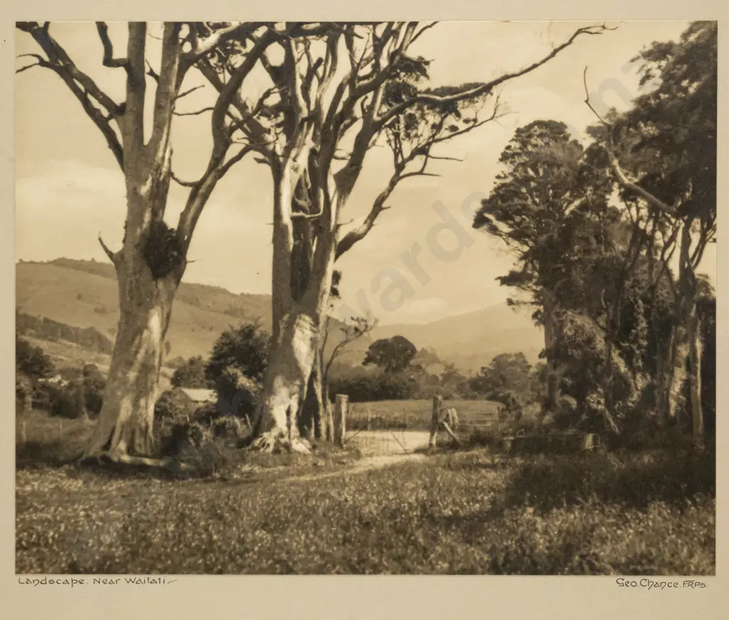 George Chance - framed vintage photograph "Landscape Near Waitati" H - 190 W - 240 Image 1++