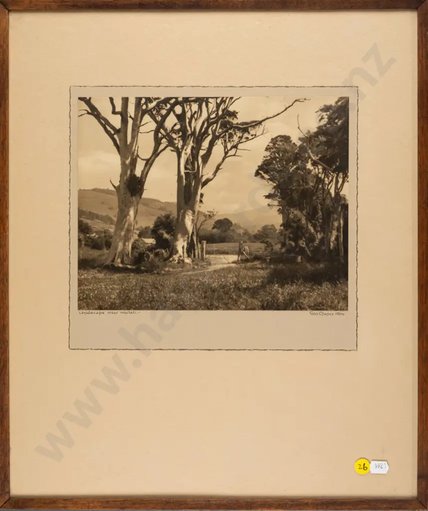 George Chance - framed vintage photograph "Landscape Near Waitati" H - 190 W - 240 Image 1++