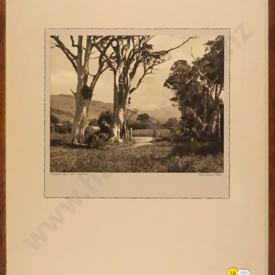 George Chance - framed vintage photograph "Landscape Near Waitati" H - 190 W - 240