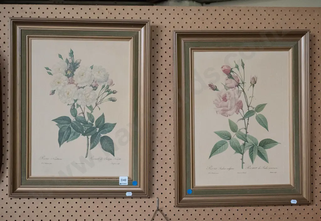 2 framed botanical prints Image 1++