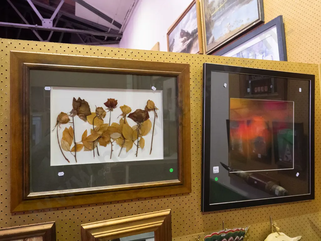 framed dry flowers and framed soccer ball photo - green dots Image 1++