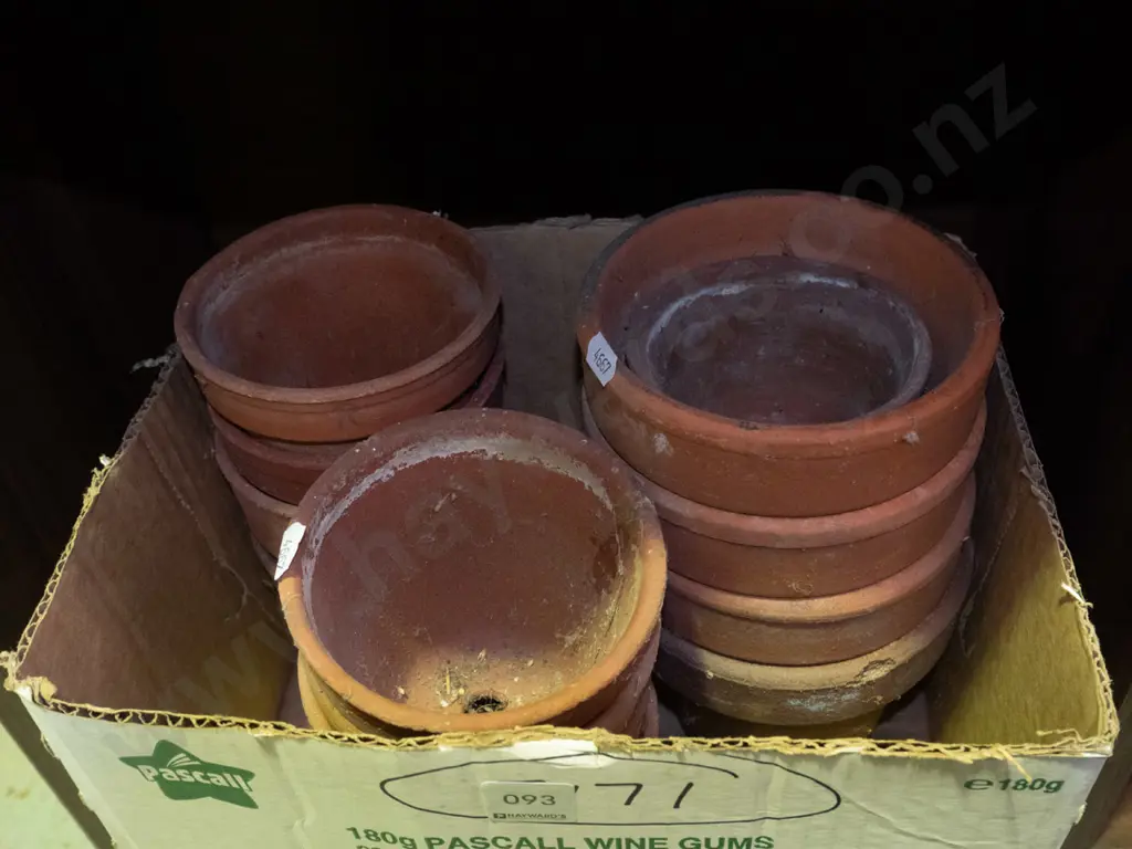 box of small terracotta garden planters Image 1++