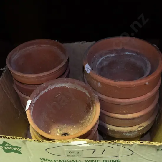 box of small terracotta garden planters