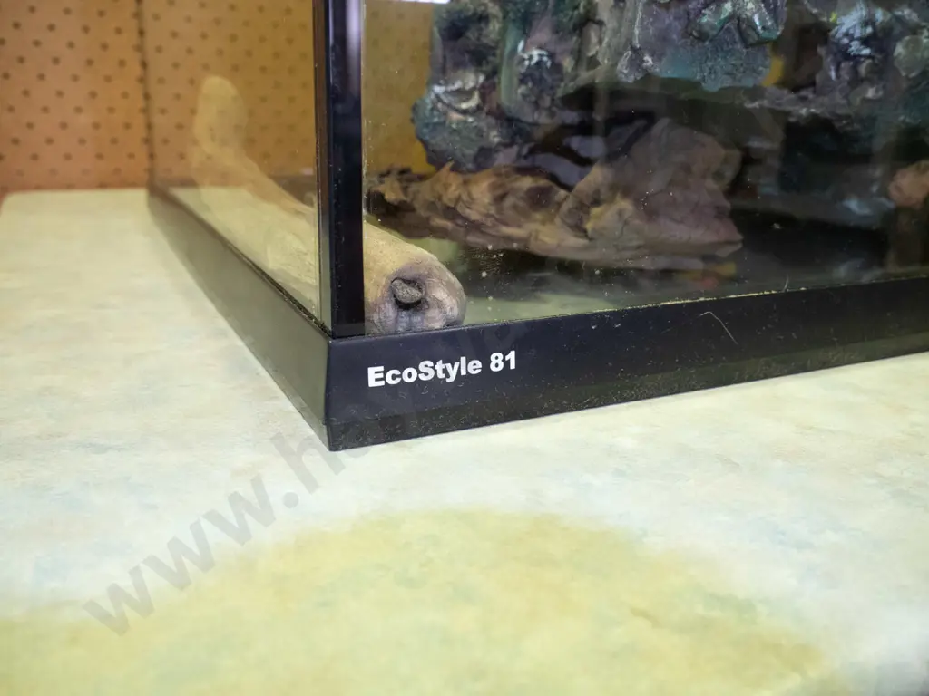 Aqua One Eco Style large lidded fish tank with pump, heater, lights, galleon ornament, etc. H-515 W-800 D-410 Image 1++