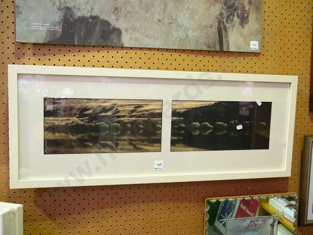 framed photograph diptych - Lake Hayes Image 1++