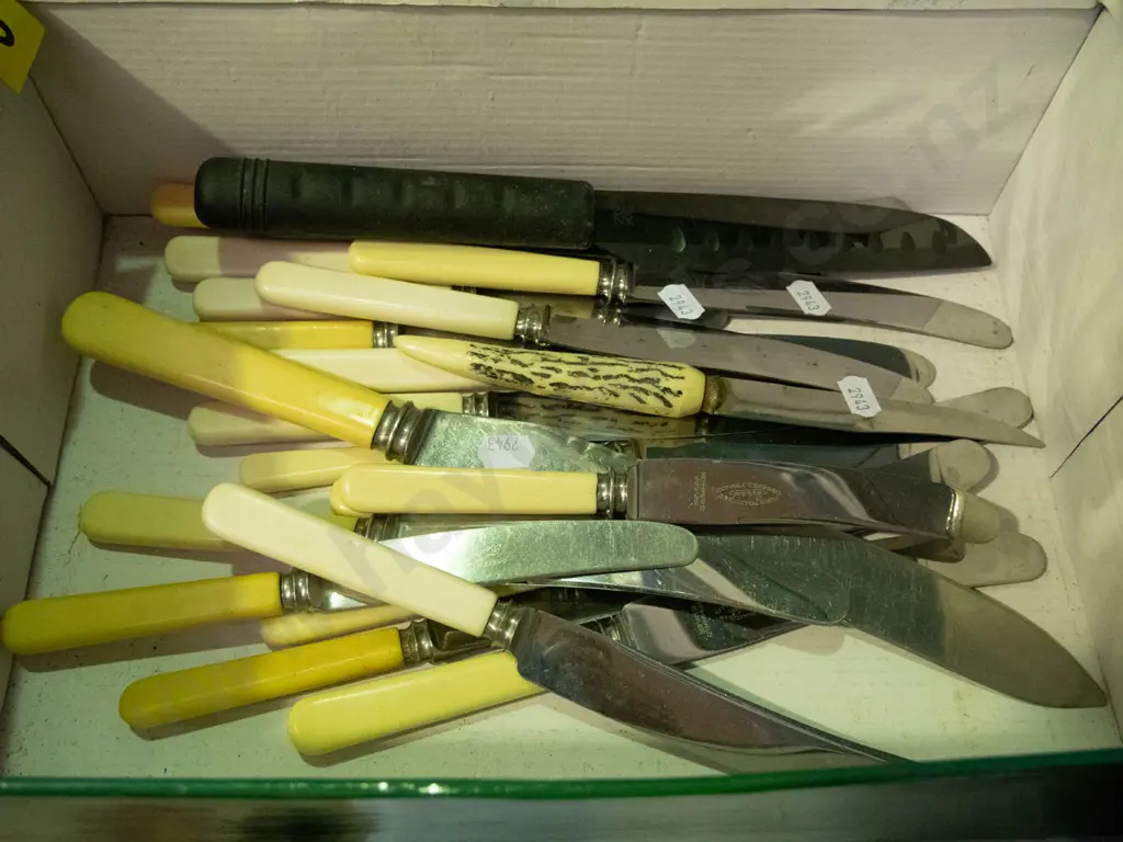 box of bone-handled and other knives Image 1++