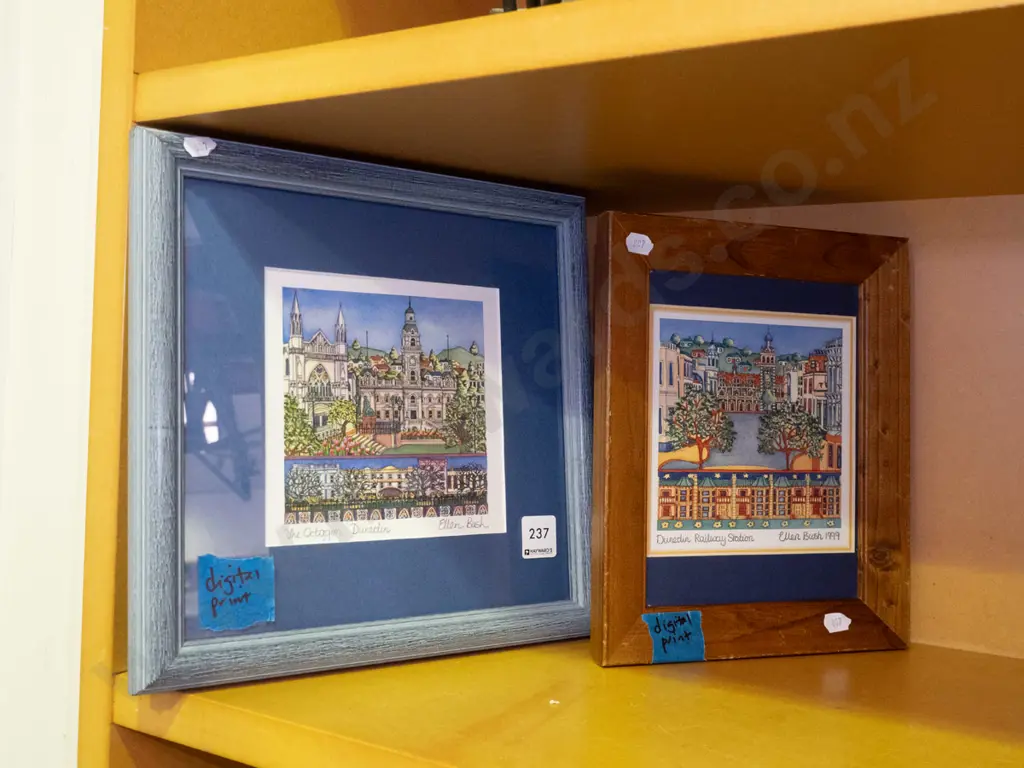 2x Elaine Bush 99 digital prints - Dunedin Image 1++