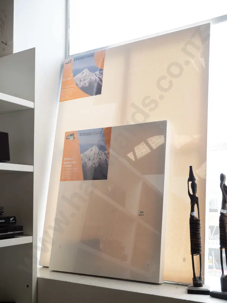 2 stretched canvases Image 1++