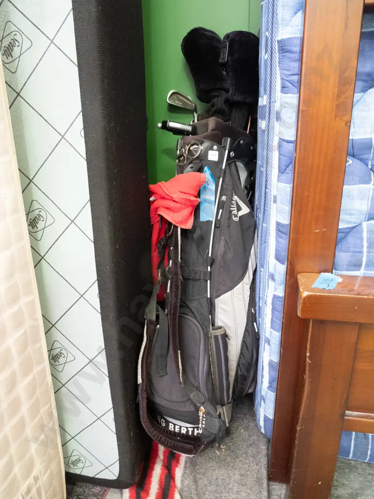 golf clubs and bag Image 1++