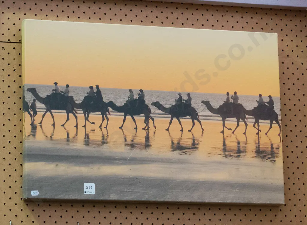 photo print - camels on beach Image 1++