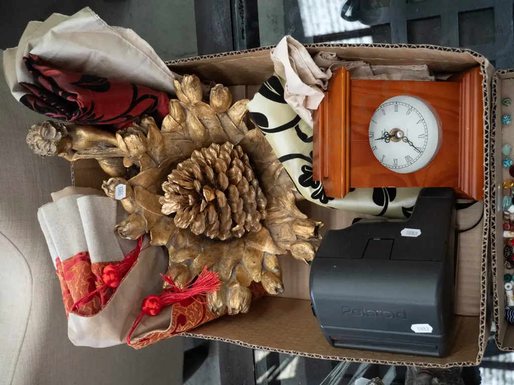 box; golden pine cones, instamatic camera etc Image 1++