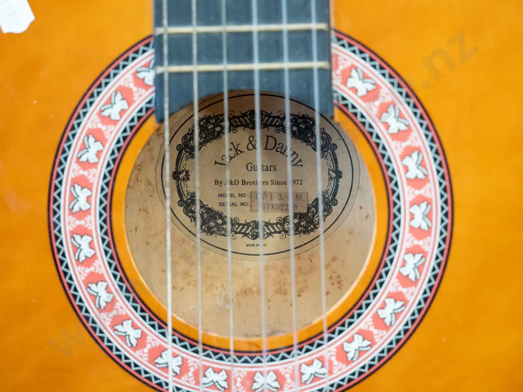 Jack and Danny acoustic guitar Image 1++