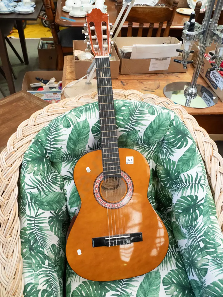 Jack and Danny acoustic guitar Image 1++